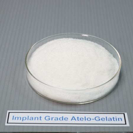 Implant Grade Atelo Gelatin